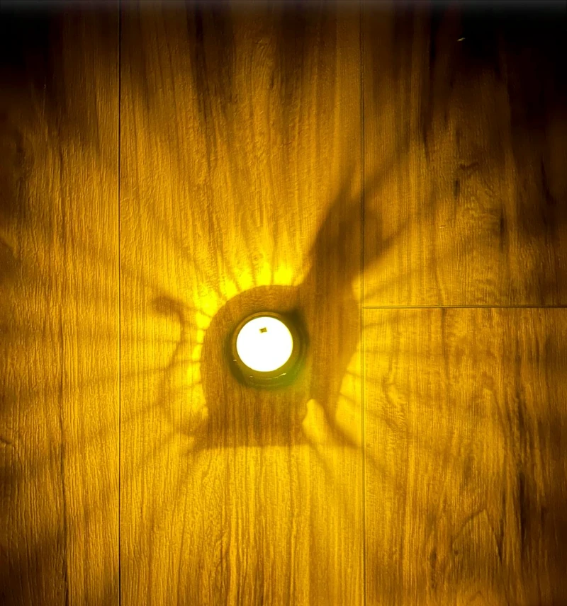 Real Shadow Lamp casting a cat shadow onto wood in warm light
